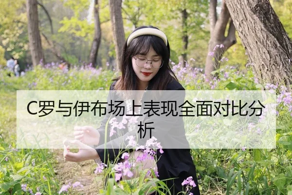 C罗与伊布场上表现全面对比分析